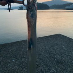 やっと秋サイズ　f4