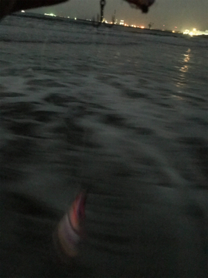 濁りの中舌平目