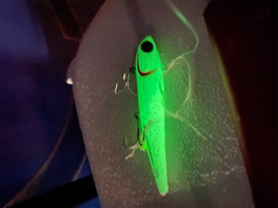 かもめ大橋、まだサバゲーでした…