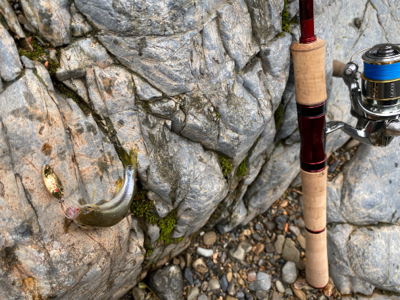 カワムツ　バス