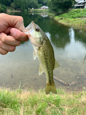 津風呂湖にてvo2