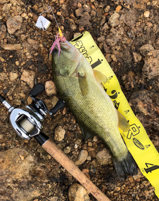 連日バス釣り(^^)