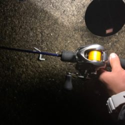 後1センチ…ベイトアジングの道