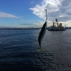 今朝も変わりなく小鯖。。。