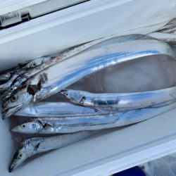 須磨沖タチウオジギング