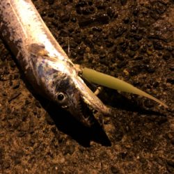 100均ルアー の性能とやら