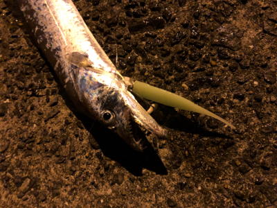 100均ルアー の性能とやら