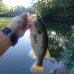 週末のハイプレッシャー