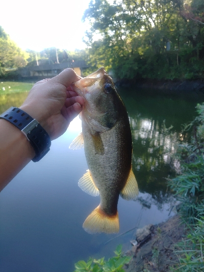 週末のハイプレッシャー
