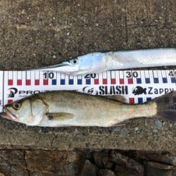 最長記録更新(笑)