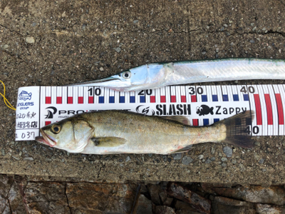 最長記録更新（笑）