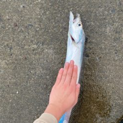 F4.5 あと少しでドラゴン