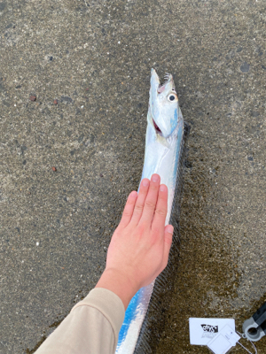 F4.5 あと少しでドラゴン