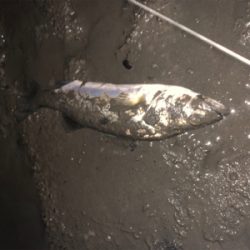 珍しくいい場所が空いていた