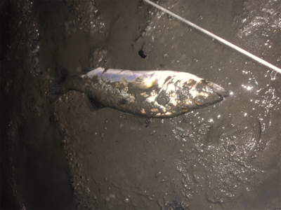 珍しくいい場所が空いていた