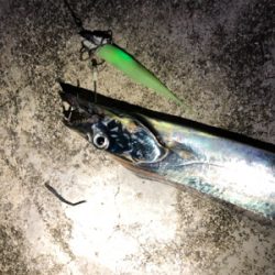 DAISO タチウオワーム 無双！