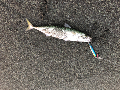 久々フラットゲット