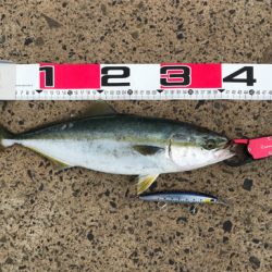 ショアジギング