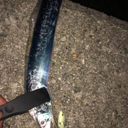 ワインドテンヤ