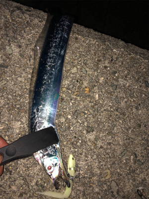 ワインドテンヤ