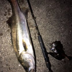 大阪湾奥パトロール