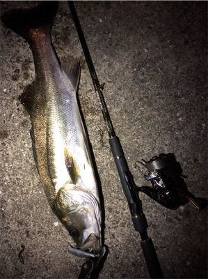 大阪湾奥パトロール