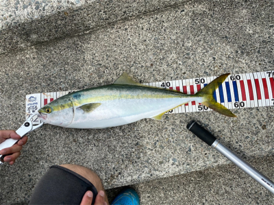 ライトショアジギング