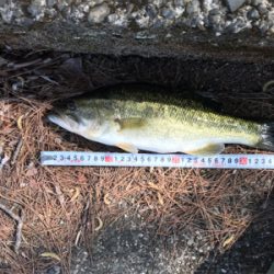 津風呂湖にてvo3