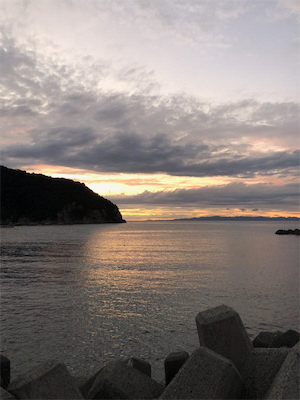 新子調査。まだちょい早いかな