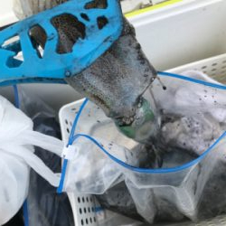 初ボートエギング