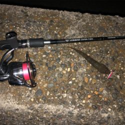 ジグハゼゲーム