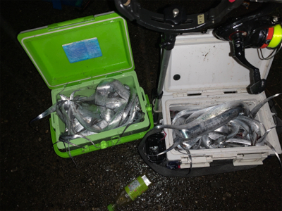 水軒鉄鋼団地で太刀魚！