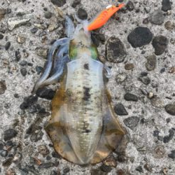 台風後のリベンジ釣行