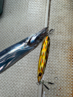 須磨沖タチウオジギング