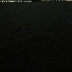 ポツポツアタリます