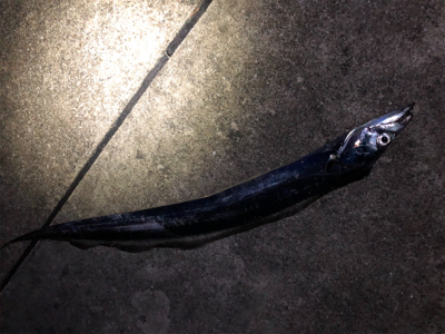 自分たちだけがポンポンと