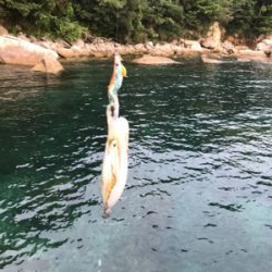 少し大きくなりました。