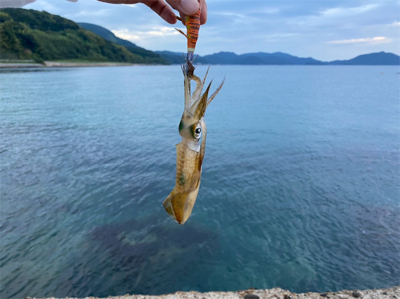 人生三度目のエギングでようやく