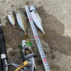 貝塚人工島でジグサビキ