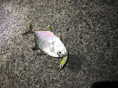 ショートバイトの正体