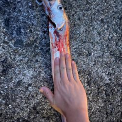 爆風の中の一本