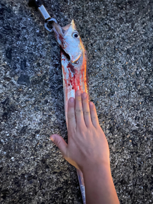 爆風の中の一本