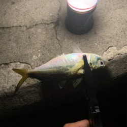 ベイトアジングの道③