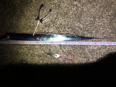 ポーアイ沖にて