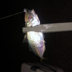 ライトゲームで思わぬお客様！