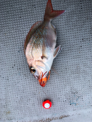 和歌山オフショア