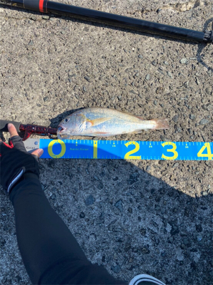 初武庫川一文字