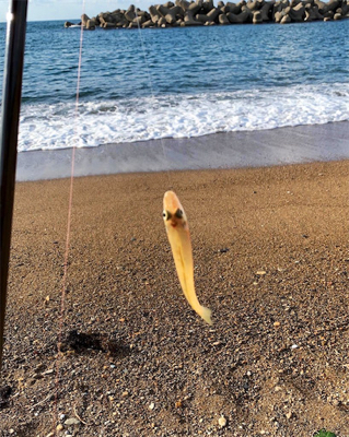 高波の中でのキス釣り
