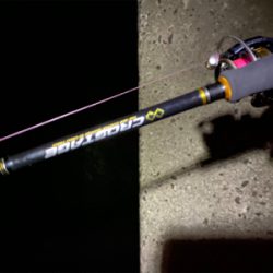 仕事帰りの短時間エギング