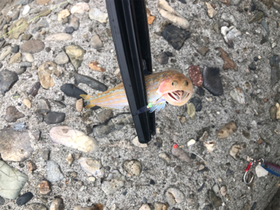 エソエソエソエソ